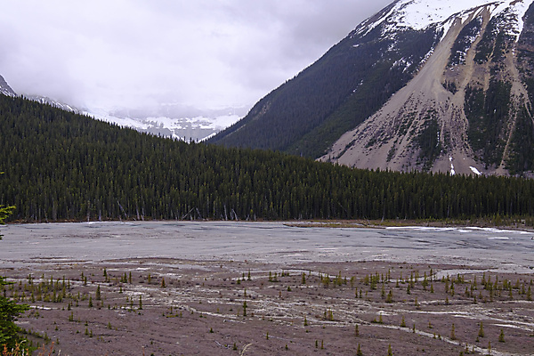 포토 JPG 해외이미지 나무 구름 공원 도로 호수 여행 캐나다 자연 하늘 휴가 영국 산 국립공원 풍경 사람없음 야외 목재 물 여름 파란색 강 반사 하이킹 추위 황무지 숲 빙하 내추럴 밴프 빙원 앨버타 전국 로키산맥 산맥 해외포토 자연요소 식물 계절 공공시설 유럽 길 컬러 북아메리카 재료 교통시설 레저 생태계 파일형식 이미지허브
