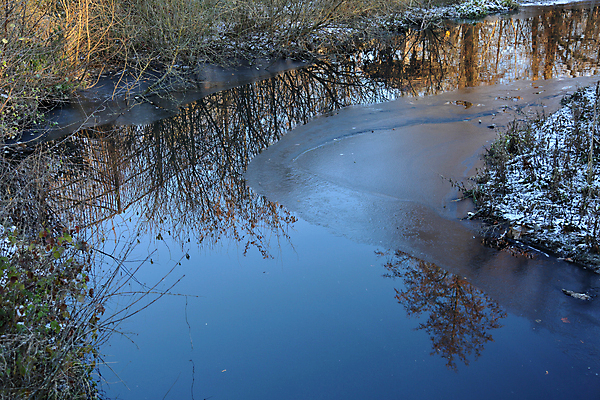 포토 JPG 해외이미지 나무 식물 계절 공원 호수 백그라운드 겨울 자연 표면 날씨 사람없음 야외 물 강 반사 환경 냉동 얼음 추위 시골 연못 숲 서리 장면 내추럴 삼림지대 해외포토 자연요소 공공시설 생태계 파일형식 이미지허브