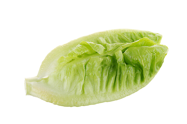 포토 JPG 해외이미지 식물 라이프스타일 음식 백그라운드 잎 다이어트 채소 재료 건강 식이요법 사람없음 세로 초록색 정원 식사 침묵 봄 샐러드 흰색 신선 상추 자르기 다발 먹기 유기농 날것 슛 섬유 내추럴 고립 생식 채식주의자 로메인상추 해외포토 웰빙 계절 컬러 모션 생활 소리 직물 채식 파일형식 이미지허브