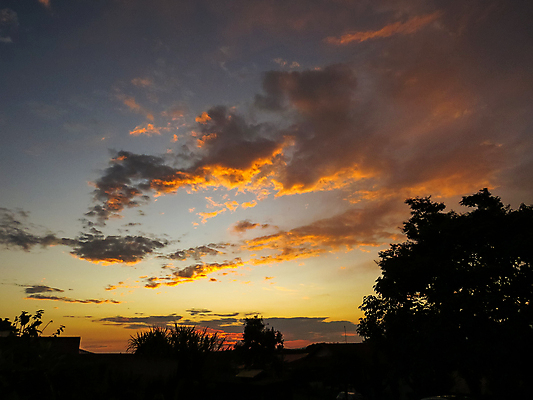 포토 JPG 해외이미지 나무 구름 실루엣 여행 백그라운드 오렌지 자연 하늘 휴가 파노라마 풍경 사람없음 야외 여름 빛 세트 컬러풀 햇빛 태양 뷰티 노란색 일출 환경 어둠 황혼 일몰 새벽 황금 저녁 장면 내추럴 수평선 해외포토 자연요소 식물 계절 컬러 과일 촬영기법 노을 야간 생태계 파일형식 이미지허브