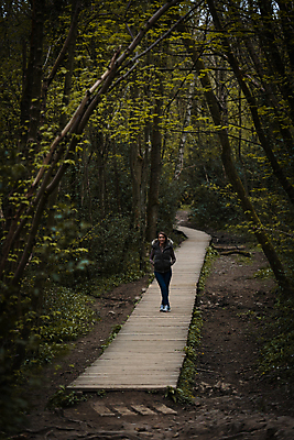 포토 JPG 해외이미지 나무 전통 영어 여자 길 얼굴 포즈 잎 자연 영국 잉글랜드 한명 초록색 파란색 햇빛 갈색 노란색 걷기 환경 봄 하이킹 벚꽃 시골 숲 오솔길 요크셔테리어 먼지 서식지 내추럴 선로 해외포토 식물 문자 1 계절 꽃 유럽 컬러 모션 레저 사람 신체부위 태양 테리어 생태계 파일형식 이미지허브