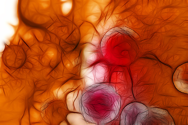 포토 JPG 해외이미지 의학 세포 사람없음 3D 주황색 질병 디지털합성 암 종양 해외포토 컬러 파일형식 이미지허브