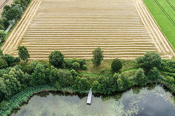포토 JPG 해외이미지 식물 유럽 호수 선 백그라운드 밭 농업 자연 낚시 안테나 어류 사람없음 야외 가로 물 농장 환경 시골 연못 드론 밭일 줄서기 직진 해외포토 자연요소 나라 산업 통신 모션 레저 수중동물 생태계 파일형식 이미지허브