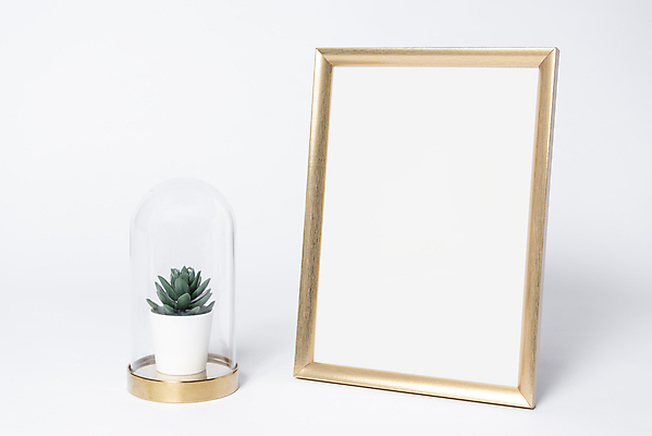 포토 JPG 해외이미지 템플릿 디자인 포스터 벽 백그라운드 탁자 선인장 주택 프레임 미술 사람없음 내부 장식 우주 검은색 공백 흰색 황금 오브젝트 그림 복고 정사각형 캔버스 거짓 목업 해외포토 도형 식물 컬러 가구 문화예술 건물 파일형식 이미지허브