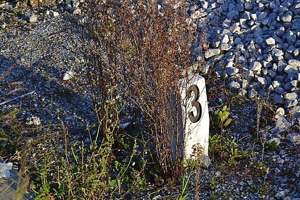 포토 JPG 해외이미지 나무 디자인 공원 여행 백그라운드 자연 날씨 주택 3 사람없음 야외 장식 초록색 파란색 뷰티 숫자 환경 검은색 봄 흰색 개울 심볼 오브젝트 사인 정사각형 주소 타입 내추럴 다음 분 옛날 레터링 해외포토 도형 식물 문자 계절 공공시설 컬러 건물 강 생태계 파일형식 이미지허브