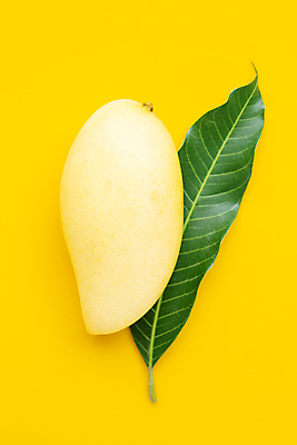 포토 JPG 해외이미지 잎 실내 사람없음 한개 열대과일 망고 노란배경 해외포토 식물 1 백그라운드 과일 내부 노란색 파일형식 이미지허브