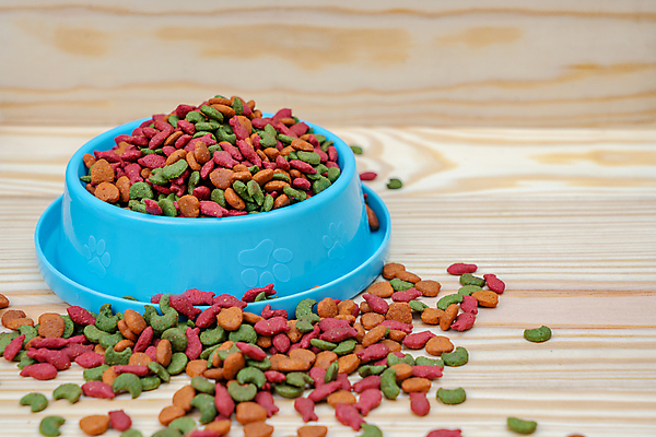 포토 JPG 해외이미지 동물 라이프스타일 접시 음식 백그라운드 텍스트 바닥 건조 쟁반 건강 사랑 사람없음 치료 파란색 빛 반려동물 갈색 우주 식사 저녁식사 고양이 흰색 사발 닫기 개 강아지 먹이 컨테이너 플라스틱 먹기 배고픔 책상 흘림 송곳니 내추럴 고립 돌봄 목업 카피스페이스 해외포토 식기 감정 산업 컬러 가구 포유류 의학 모션 재질 생활 공백 사기그릇 치아 파일형식 이미지허브