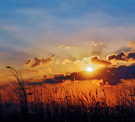 포토 JPG 해외이미지 여행 사람없음 방글라데시 해외포토 남아시아 파일형식 이미지허브