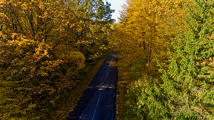 포토 JPG 해외이미지 나무 식물 계절 공원 유럽 도로 길 백그라운드 잎 오렌지 자연 벽지 안테나 사람없음 야외 목재 빨간색 초록색 빛 컬러풀 햇빛 뷰티 갈색 노란색 환경 활발 시골 신선 황금 숲 오솔길 유기농 질감 내추럴 조감도 해외포토 웰빙 공공시설 나라 컬러 컨셉 과일 재료 통신 교통시설 태양 생태계 파일형식 이미지허브
