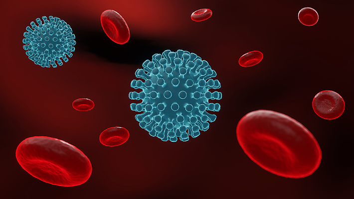 포토 JPG 해외이미지 세포 사람없음 3D 바이러스 적혈구 혈구 코로나바이러스 델타변이바이러스 오미크론 해외포토 디지털합성 혈관 파일형식 이미지허브
