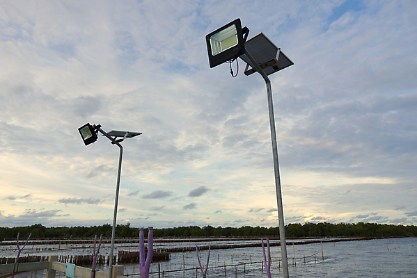 포토 JPG 해외이미지 나무 커플 선 파도 바다 태국 자연 조류 하늘 동양인 사람없음 야외 세트 태양 환경 줄무늬 에너지 절약 습지 저녁 철 대나무 정리 자동 줄서기 주도 해외포토 자연요소 식물 동물 아시아 컨셉 무늬 관계 모션 인종 예절 야간 생태계 파일형식 이미지허브