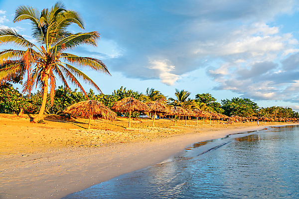 포토 JPG 해외이미지 나무 모래 파도 바다 섬 여행 우산 자연 하늘 휴가 휴식 손바닥 풍경 사람없음 야외 물 여름 모래사장 태양 맑음 목장 휴양지 쿠바 밀짚 대서양 이국적 파라다이스 수평선 해외포토 자연요소 식물 손 계절 컨셉 날씨 장소 중앙아메리카 짚 생태계 파일형식 이미지허브