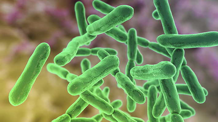 포토 JPG 해외이미지 식물 일러스트 사람 사람없음 치료 약 3D 생물학 긍정 발효 미생물 요거트 박테리아 내추럴 보충 요구르트 해외일러스트 교육 컨셉 의학 유제품 생물 디지털합성 파일형식 이미지허브