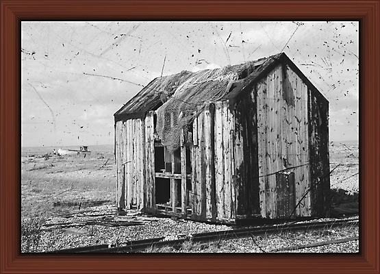 포토 JPG 해외이미지 얼굴 백그라운드 밭 텍스트 창문 가족 탁자 조류 주택 프레임 흑백 서기 사람 앉기 사람없음 야외 건물 목재 옆모습 사무실 문 방 기차 흰색 양 큼 스케치 버리기 사인 그림 그만 선로 썩음 옛날 해외포토 나무 동물 건축물 육상교통 뷰포인트 컬러 가구 농업 비즈니스 재료 포유류 관계 모션 대중교통 촬영기법 미술 신체부위 크기 파일형식 이미지허브