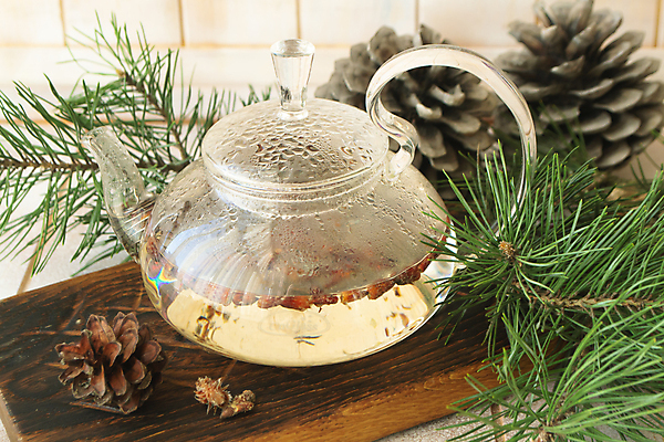 포토 JPG 해외이미지 식물 음료 자연 건조 주류 건강 사람없음 목재 치료 컵 약 새싹 머그컵 약재 소나무 차 약초 찻잔 허브 준비 냄새 침엽수 테라피 원뿔 물약 내추럴 기침 막자 양조 치료제 해외포토 도형 나무 식기 재료 의학 잔 뷰티 풀_식물 생태계 파일형식 이미지허브