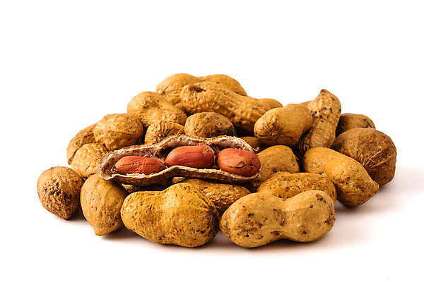 포토 JPG 해외이미지 식물 음식 백그라운드 재료 자연 건조 건강 씨앗 사람없음 빨간색 갈색 쌓기 견과류 껍질 흰색 신선 오픈 그룹 맛 먹기 유기농 알맹이 날것 땅콩 흙더미 내추럴 꼬투리 땅바닥 채식주의자 해외포토 웰빙 컬러 컨셉 모션 바닥 흙 생태계 채식 파일형식 더미 이미지허브