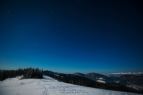 포토 JPG 해외이미지 나무 계절 별 과학 백그라운드 겨울 자연 하늘 휴가 불꽃 산 풍경 사람없음 파란색 뷰티 우주 환경 검은색 어둠 꿈 안개 야간 숲 달빛 언덕 코스모스 서리 은하계 점성술 공상 마법 전나무 별빛 성운 내추럴 깊이 절정 가문비나무 해외포토 자연요소 식물 꽃 컬러 불 날씨 빛 달 생태계 파일형식 이미지허브