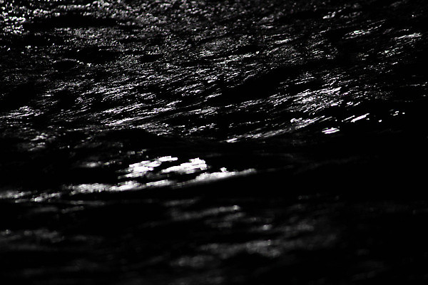 포토 JPG 해외이미지 나무 공원 별 호수 여행 백그라운드 자연 하늘 표면 추상 산 미술 사람없음 야외 물 파란색 빛 강 반사 우주 계곡 검은색 어둠 새벽 흐름 탐험 달 시골 신선 개울 야간 저녁 숲 달빛 가득함 언덕 질감 장면 점성술 공상 내추럴 해외포토 자연요소 식물 공공시설 컬러 컨셉 무늬 문화예술 생태계 파일형식 이미지허브