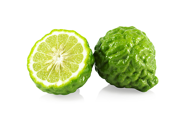 포토 JPG 해외이미지 아시아 음식 조각 백그라운드 잎 채소 과일 재료 태국 자연 귤 건강 요리 씨앗 동양인 사람없음 치료 초록색 흰색 신선 거친 자르기 레몬 허브 유기농 날것 아로마 라임 내추럴 고립 해외포토 식물 웰빙 나라 컬러 의학 모션 인종 생태계 파일형식 이미지허브