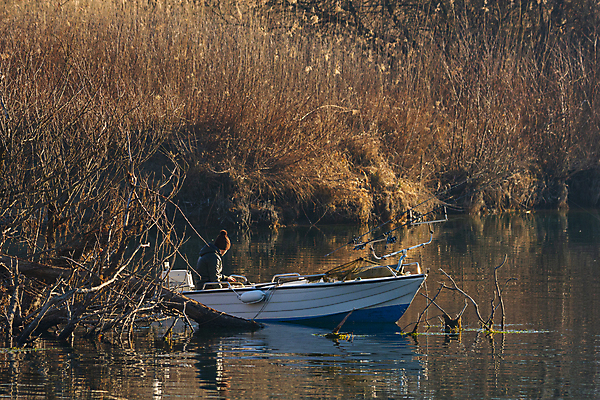 포토 JPG 해외이미지 나무 구름 전통 실루엣 아시아 문화 호수 바다 여행 자연 하늘 아침 낚시 어류 사람 풍경 사람없음 야외 목재 물 여름 파란색 빛 강 햇빛 태양 반사 일출 침묵 황혼 일몰 새벽 안개 시골 연못 잡기 그물 보트 숲 낚시꾼 수평선 해외포토 주간 자연요소 식물 계절 나라 컬러 배_교통 재료 모션 레저 날씨 촬영기법 노을 수중동물 소리 생태계 파일형식 이미지허브