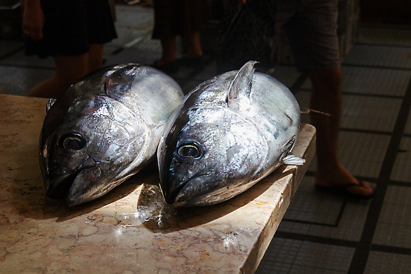 포토 JPG 해외이미지 직업 유럽 음식 낚시 실내 건강 육류 어류 사람 사람없음 와인 신선 시장 칼 상품 어부 참치 포르투갈 해산물 날것 어장 해외포토 나라 식재료 레저 주류 내부 수중동물 파일형식 이미지허브