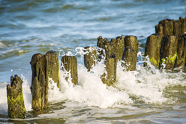 포토 JPG 해외이미지 파도 바다 자연 날씨 휴가 잔디 사람없음 야외 목재 물 파란색 힘 흰색 서핑 역사 떨어짐 방파제 분무기 봉 찌르기 발트해 옛날 해외포토 자연요소 나무 식물 공공시설 컬러 컨셉 재료 모션 북유럽 수상스포츠 생태계 파일형식 이미지허브