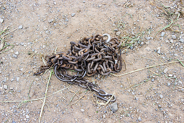 포토 JPG 해외이미지 나무 동물 공원 산업 아시아 야생동물 어린이 음식 여행 백그라운드 컨셉 2 패턴 비즈니스 포유류 가족 태국 자연 추상 코끼리 자물쇠 서기 동양인 사람없음 야외 빛 금속 검은색 힘 흰색 큼 먹기 묘사 질감 쇼 땅바닥 엘리먼트 옛날 철강 해외포토 식물 공공시설 나라 컬러 무늬 관계 모션 재질 바닥 사람 인종 크기 생태계 파일형식 이미지허브