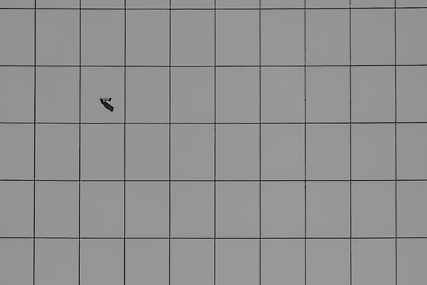 포토 JPG 해외이미지 응시 선 컨셉 추상 아이디어 흑백 안전 사람없음 야외 카메라 어둠 회색 금지 관찰 도시 손목시계 법 지역 규정 대칭 스파이 카피스페이스 해외포토 시선 시계 컬러 무늬 장신구 모션 촬영기법 전자제품 공백 파일형식 이미지허브