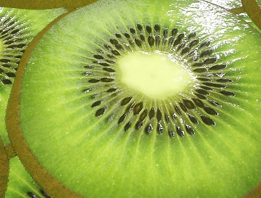 포토 JPG 해외이미지 음식 조각 백그라운드 컨셉 농업 다이어트 과일 자연 디저트 실내 건강 식이요법 키위 씨앗 사람없음 초록색 주방 젖음 신선 원형 그룹 횡단보도 달콤 맛 상쾌 유기농 질감 날것 슬라이스 내추럴 바이오 숙성 개조 해외포토 도형 식물 웰빙 감정 산업 컬러 내부 보행로 생태계 파일형식 이미지허브