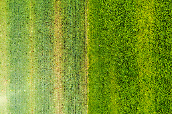 포토 JPG 해외이미지 나무 도로 밭 농업 곡선 자연 풍경 잔디 사람없음 야외 초록색 햇빛 태양 농장 농경지 평화 환경 미국 고요 일몰 흙 수확 시골 땅 지역 땅바닥 밭일 조감도 해외포토 자연요소 식물 산업 길 선 컬러 컨셉 북아메리카 교통시설 바닥 노을 생태계 파일형식 이미지허브