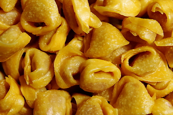 포토 JPG 해외이미지 전통 음식 백그라운드 다이어트 재료 건조 파스타 건강 요리 사람없음 노란색 식사 저녁식사 이탈리아 흰색 날것 점심식사 생식 많음 해외포토 유럽 컬러 컨셉 서양음식 파일형식 이미지허브