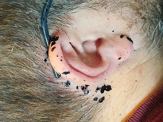 포토 JPG 해외이미지 남자 표시 수염 사람없음 검은색 귀 왁스 위생관리 해외포토 컬러 관리 사람 신체부위 파일형식 이미지허브