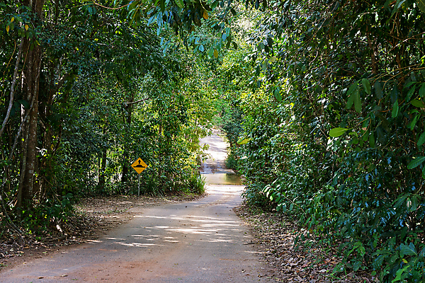 포토 JPG 해외이미지 나무 공원 도로 여행 교통시설 자연 산 안전 풍경 사람없음 초록색 물 노란색 환경 계곡 흐름 탐험 시골 개울 황무지 숲 강가 위험 홍수 방향 사인 좁은 먼지 탐사 발견 건너기 전국 콘크리트 흙길 해외포토 자연요소 식물 공공시설 길 컬러 교통 컨셉 모션 강 흙 자연재해 시설 생태계 파일형식 이미지허브
