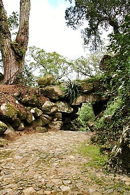 포토 JPG 해외이미지 나무 식물 전통 공원 유럽 문화 길 과학 여행 백그라운드 자연 종류 사람없음 야외 초록색 정원 봄 산책 다양 보호 숲 포르투갈 아치 암초 방문 내추럴 리스본 신트라 이국적 해외포토 계절 공공시설 나라 컬러 다수 컨셉 휴식 생태계 파일형식 이미지허브