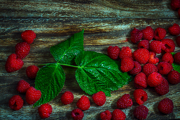 포토 JPG 해외이미지 열매 음식 백그라운드 잎 다이어트 과일 재료 자연 탁자 딸기 디저트 건강 사람없음 목재 가로 빨간색 초록색 여름 식사 주스 활발 흰색 신선 그룹 달콤 맛 아침식사 먹기 상쾌 유기농 질감 블루베리 날것 산딸기 블랙베리 내추럴 고립 숙성 영양분 채식주의자 핸드메이드 해외포토 나무 식물 웰빙 계절 감정 음료 컬러 가구 컨셉 모션 생태계 채식 파일형식 이미지허브