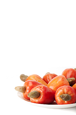 포토 JPG 해외이미지 음식 잎 농업 채소 과일 자연 건강 요리 씨앗 사람없음 야외 빨간색 세로 약 농장 쌓기 사진촬영 미국 견과류 수확 신선 그룹 시장 사과 농부 다발 브라질 남쪽 내추럴 밭일 숙성 캐슈넛 브라질사람 해외포토 식물 직업 산업 컬러 북아메리카 의학 모션 촬영 남아메리카 방향 생태계 파일형식 이미지허브