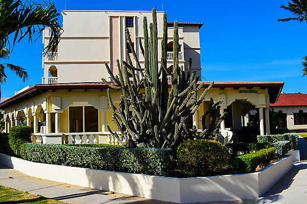 포토 JPG 해외이미지 나무 구름 모래 바다 섬 여행 오렌지 하늘 휴가 휴식 풍경 사람없음 야외 물 파란색 평화 일출 일몰 신혼여행 그림 휴양지 부표 파라다이스 수평선 해외포토 자연요소 식물 컬러 결혼 컨셉 과일 노을 장소 파일형식 이미지허브