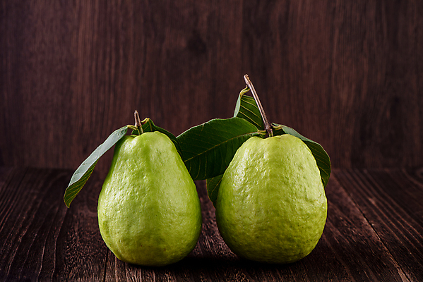 포토 JPG 해외이미지 잎 과일 실내 사람없음 구아바 나무배경 해외포토 식물 백그라운드 내부 열대과일 파일형식 이미지허브