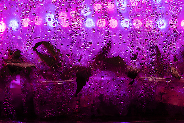 포토 JPG 해외이미지 식물 라이프스타일 손 계절 음식 백그라운드 컨셉 잎 농업 비즈니스 태국 자연 새로움 씨앗 사람없음 가로 초록색 빛 농장 건강관리 환경 보라색 봄 습기 성장 신선 잡기 시간 작음 땅 유기농 원예 먼지 모종 묘목 온실 주도 세련 해외포토 나무 웰빙 산업 아시아 컬러 모션 건강 관리 취미 생활 신체부위 예절 크기 생태계 파일형식 이미지허브