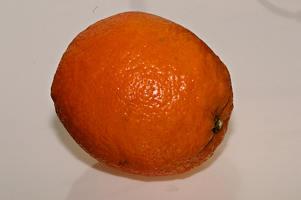 포토 JPG 해외이미지 열매 음식 채소 오렌지 과일 사람없음 유기농 해외포토 식물 웰빙 파일형식 이미지허브