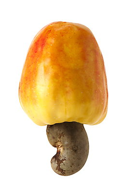 포토 JPG 해외이미지 음식 잎 농업 채소 과일 자연 건강 요리 씨앗 사람없음 야외 빨간색 세로 약 농장 노란색 쌓기 사진촬영 미국 견과류 수확 신선 그룹 시장 사과 농부 다발 브라질 남쪽 내추럴 밭일 숙성 캐슈넛 브라질사람 해외포토 식물 직업 산업 컬러 북아메리카 의학 모션 촬영 남아메리카 방향 생태계 파일형식 이미지허브