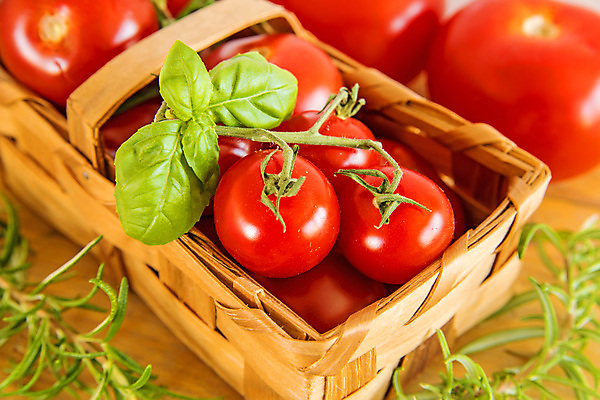 포토 JPG 해외이미지 접시 음식 백그라운드 컨셉 농업 다이어트 토마토 채소 과일 재료 건강 요리 사람없음 장식 빨간색 초록색 바구니 주방 식사 이탈리아 모임 수확 신선 체리 다발 포도나무 바질 내추럴 숙성 채식주의자 해외포토 식기 유럽 산업 컬러 과일나무 채식 파일형식 이미지허브