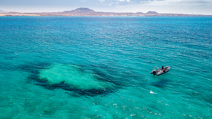 포토 JPG 해외이미지 라이프스타일 스포츠 바다 여행 백그라운드 교통시설 하늘 휴가 항해 안테나 사람 해변 사람없음 야외 물 여름 파란색 자유 탐험 흰색 보트 그룹 잠수부 크루즈 고래 속도 네비게이션 모터 드론 해외포토 자연요소 계절 컬러 교통 컨셉 배_교통 통신 포유류 생활 수중동물 전문직 시설 파일형식 이미지허브