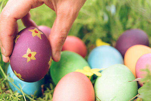 포토 JPG 해외이미지 나무 전통 계절 꽃 행복 어린이 음식 인형 백그라운드 가족 휴가 서기 이벤트 사람없음 목재 장식 초록색 파란색 컬러풀 노란색 보라색 검은색 축제 페인트 봄 축하 토끼 작음 심볼 유기농 부활절계란 사냥 카피스페이스 해외포토 식물 웰빙 감정 컬러 컨셉 재료 포유류 관계 모션 부활절 사람 반려동물 계란 공백 크기 파일형식 이미지허브