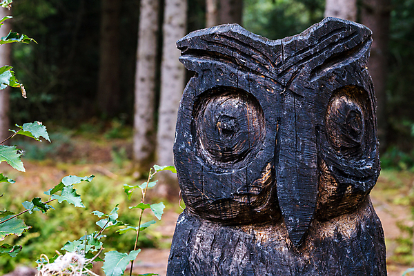 포토 JPG 해외이미지 편집 문화 어린이 모래 조각 가족 모션 가면 미술 근접촬영 사람없음 야외 목재 숫자 갈색 검은색 유치원 기구 그룹 황무지 망치 숲 플라스틱 오브젝트 대륙 예술가 사암 기념물 고립 조각가 타격 해외포토 나무 문자 교육 뷰포인트 컬러 재료 관계 재질 문화예술 사람 돌_바위 공구 파일형식 이미지허브