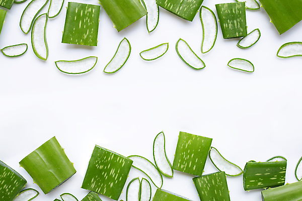 포토 JPG 해외이미지 스튜디오촬영 단면 실내 사람없음 하이앵글 뷰티 흰배경 알로에 플랫레이 해외포토 식물 뷰포인트 백그라운드 내부 흰색 플랫 파일형식 이미지허브