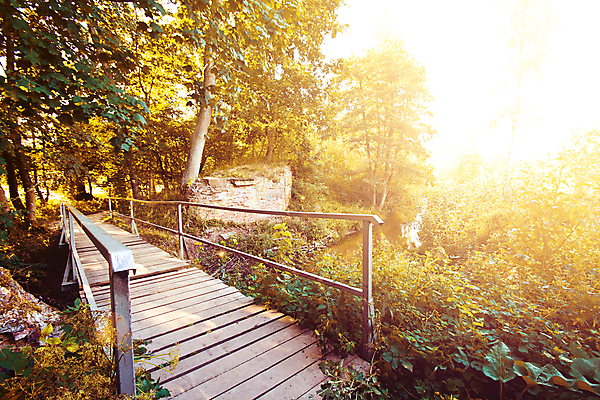 포토 JPG 해외이미지 나무 계절 공원 길 잎 의자 오렌지 자연 휴식 새로움 따뜻함 한명 앉기 풍경 야외 목재 빨간색 반사 갈색 노란색 평화 걷기 정원 자유 가을 나뭇가지 도시 황금 숲 11월 땅 싱글 장면 공상 일반 10월 내추럴 땅바닥 해외포토 식물 1 공공시설 컬러 가구 컨셉 과일 재료 모션 바닥 사람 날짜 생태계 파일형식 이미지허브