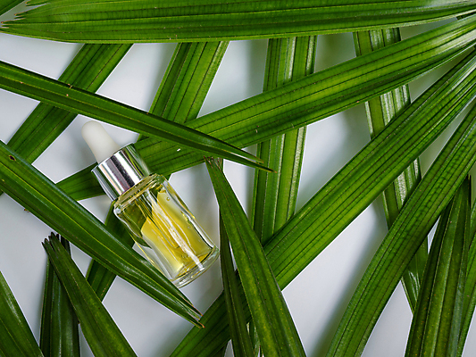 포토 JPG 해외이미지 식물 백그라운드 잎 오렌지 재료 유리 탁자 휴식 건조 건강 동양인 사람없음 치료 초록색 뷰티 약 노란색 스파 화장품 흰색 신선 마사지 투명 액체 상품 약국 허브 상쾌 유기농 날것 아로마 꿀 테라피 조제 내추럴 돌봄 화학물질 항생제 카피스페이스 해외포토 웰빙 감정 컬러 가구 컨셉 과일 의학 모션 재질 인종 공백 화학 만들기 파일형식 이미지허브