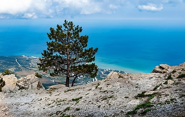 포토 JPG 해외이미지 나무 바다 섬 여행 백그라운드 자연 하늘 휴가 산 안테나 파노라마 사람 사람없음 야외 초록색 물 파란색 태양 여행객 일몰 하이킹 만 정상 언덕 절정 해외포토 자연요소 식물 컬러 통신 레저 촬영기법 노을 생태계 파일형식 이미지허브