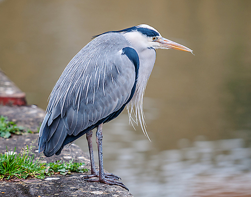 포토 JPG 해외이미지 사람없음 큼 운하 해외포토 크기 파일형식 이미지허브